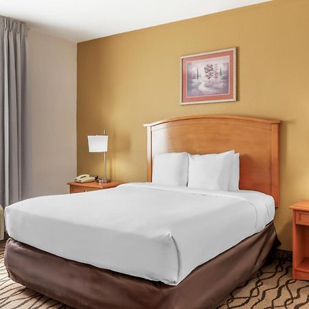 Comfort Inn & Suites Chesapeake - Portsmouth Esterno foto